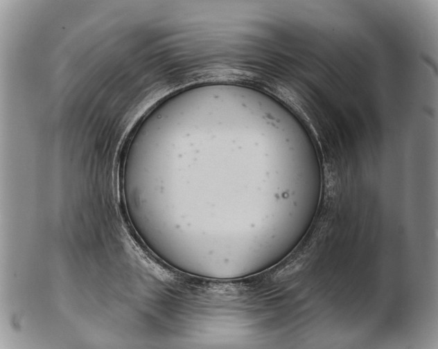 X0000103260843200809121921