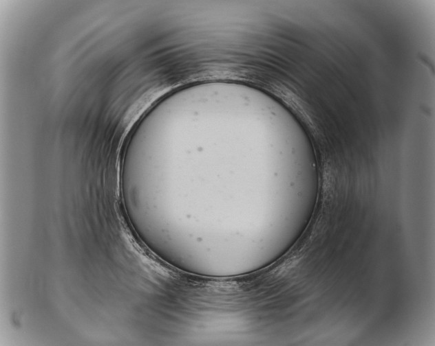 X0000103260844200809121921