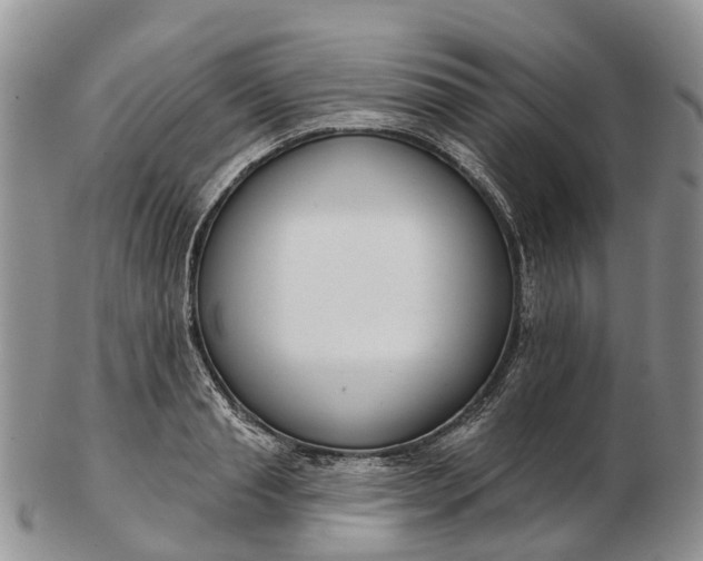 X0000103260845200809121921