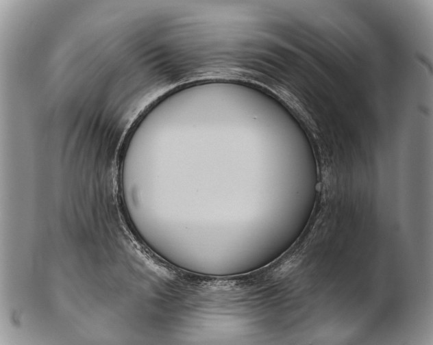 X0000103260846200809121921