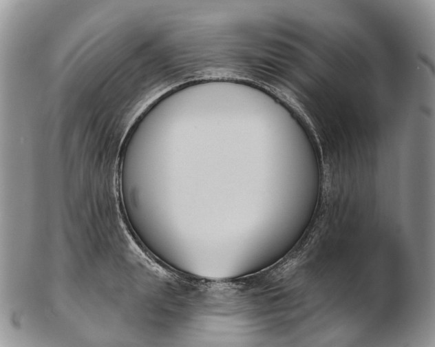 X0000103260847200809121921