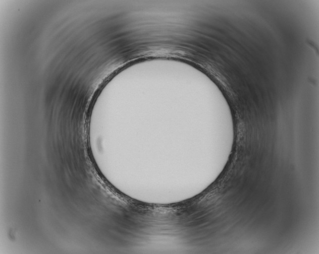 X0000103260848200809121921