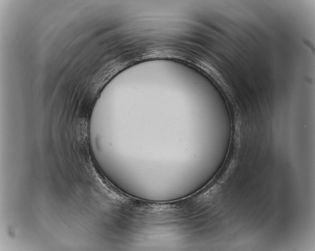 X0000103260849200809121921