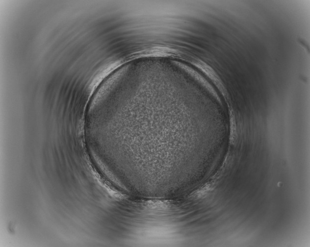 X0000103260850200809121921