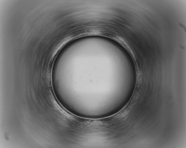 X0000103260851200809121921