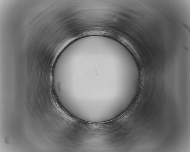 X0000103260852200809121922