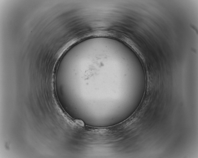 X0000103260853200809121922