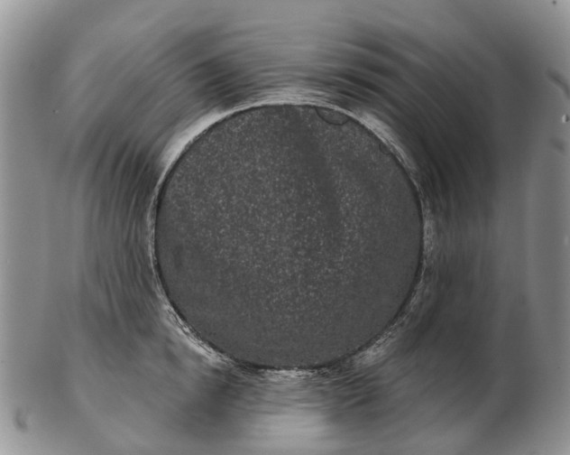 X0000103260854200809121922