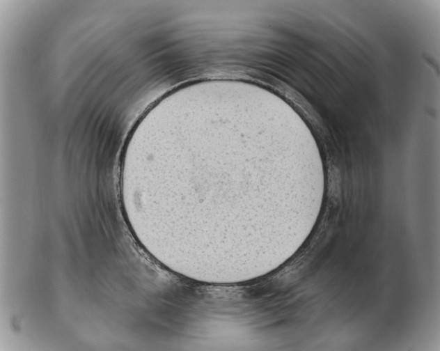 X0000103260856200809121922