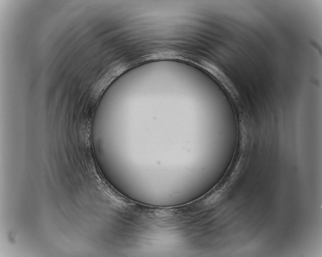 X0000103260857200809121922