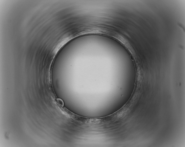 X0000103260858200809121922