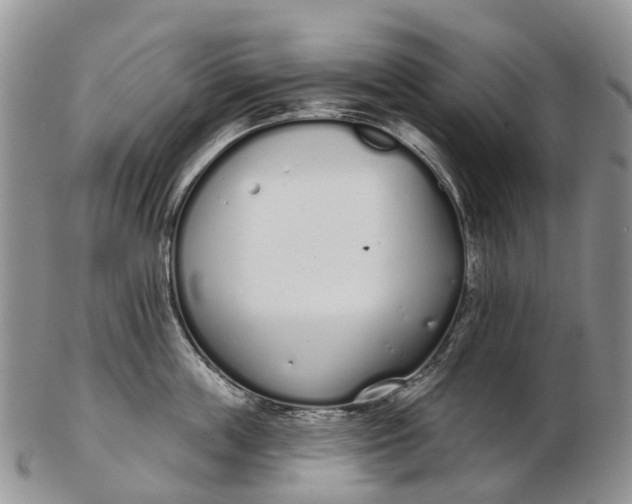 X0000103260859200809121922