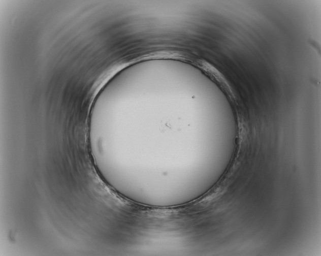 X0000103260860200809121922