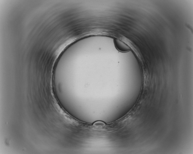 X0000103260861200809121922