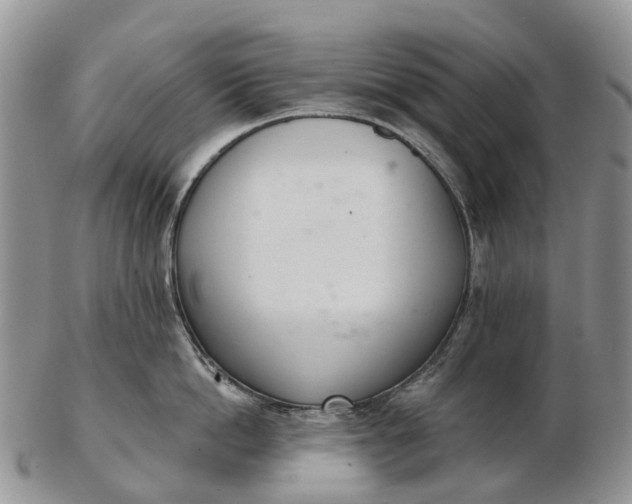 X0000103260862200809121922