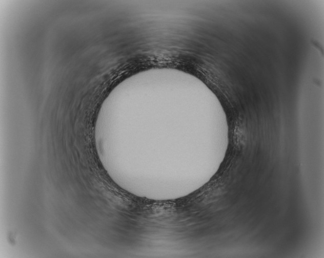 X0000103260865200809121921