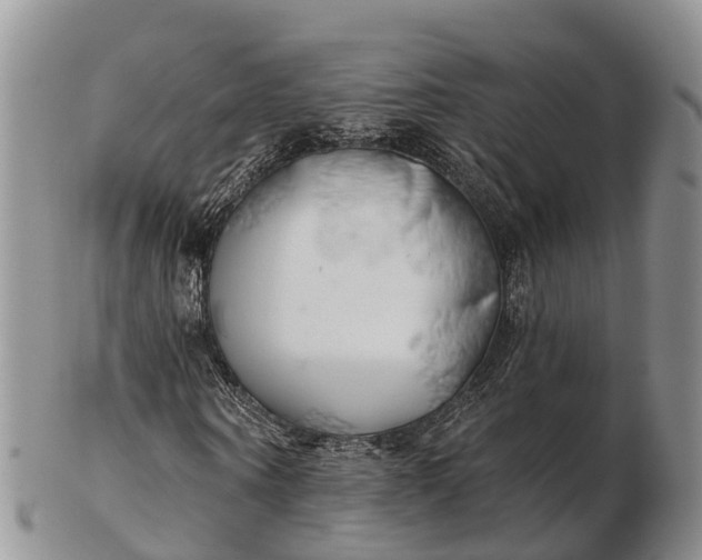 X0000103260866200809121921