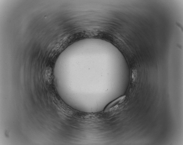 X0000103260867200809121921