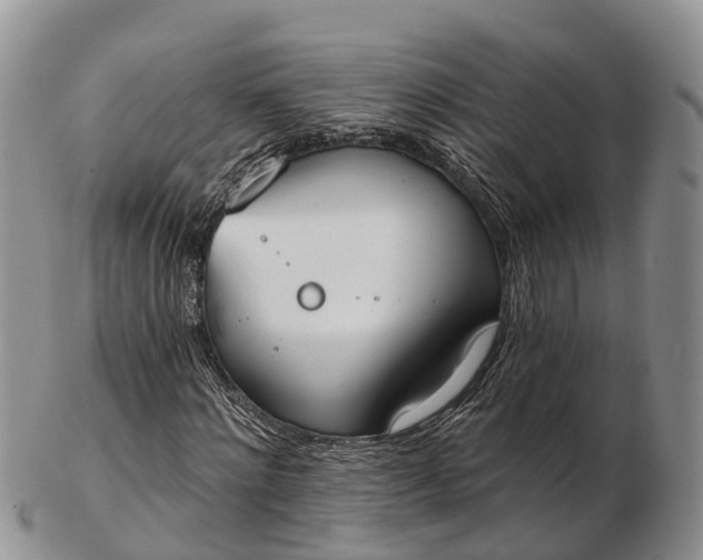 X0000103260868200809121921