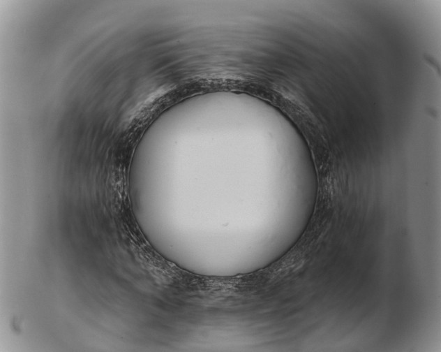 X0000103260870200809121921