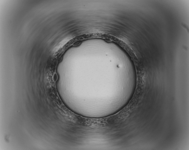 X0000103260871200809121921