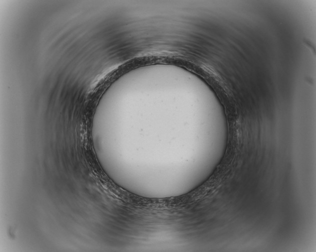 X0000103260872200809121921