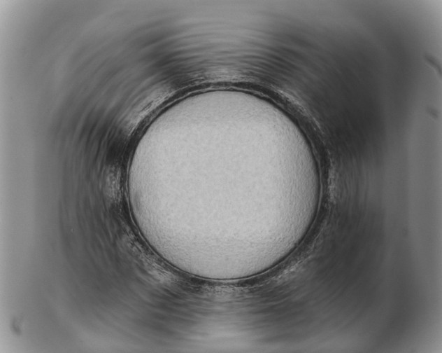 X0000103260873200809121921