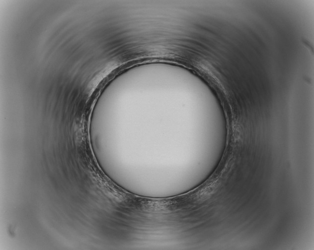 X0000103260875200809121921