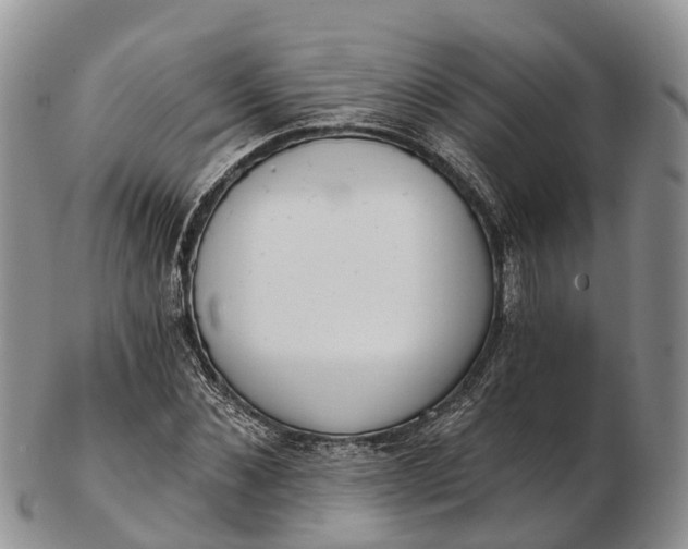 X0000103260876200809121921