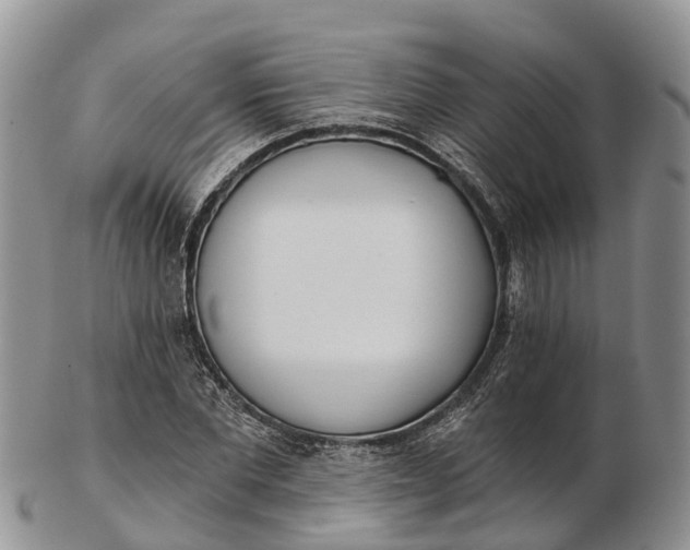 X0000103260877200809121921