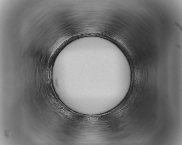 X0000103260878200809121921