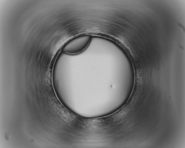 X0000103260879200809121921