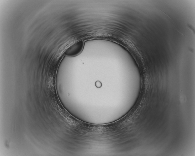 X0000103260881200809121921