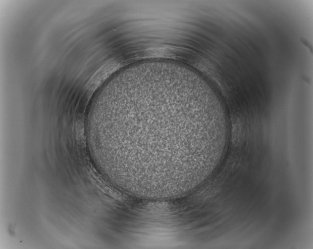 X0000103260882200809121921