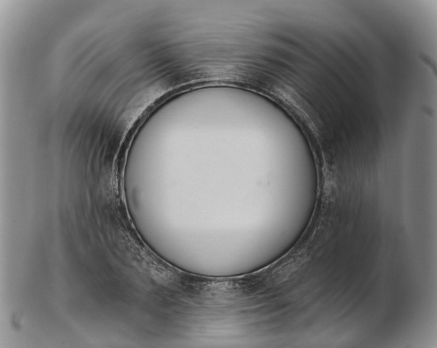 X0000103260883200809121921