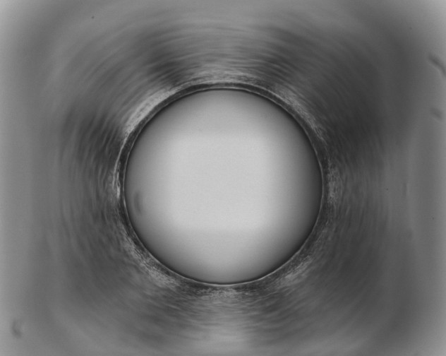 X0000103260885200809121921