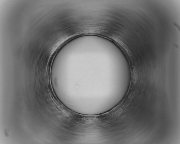 X0000103260886200809121921