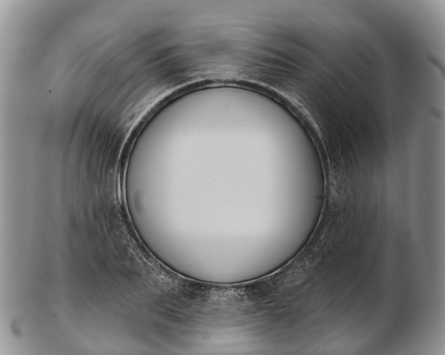 X0000103260887200809121921