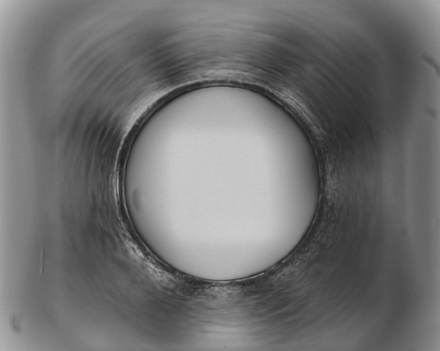 X0000103260888200809121921