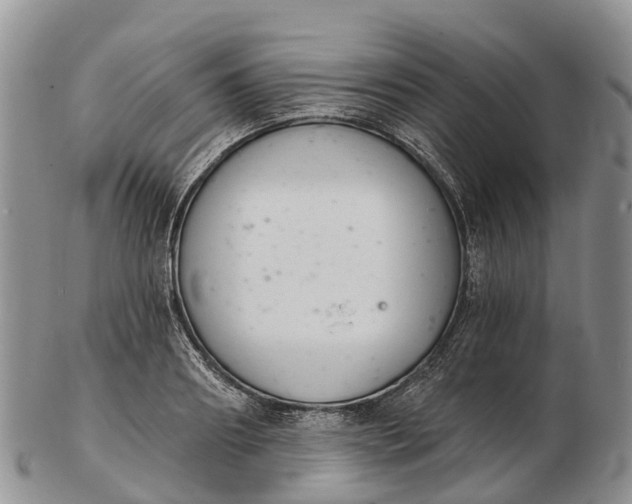 X0000103260890200809121921