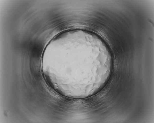 X0000103260891200809121921