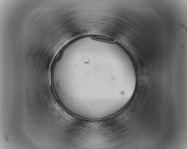 X0000103260892200809121921