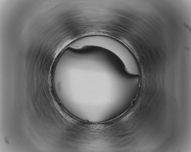 X0000103260893200809121921