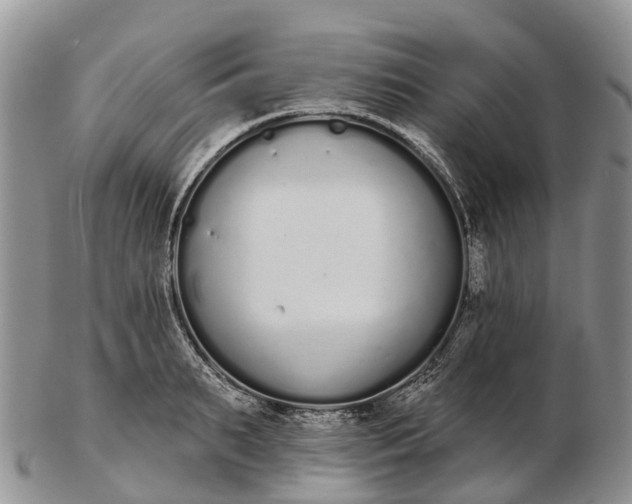 X0000103260895200809121921