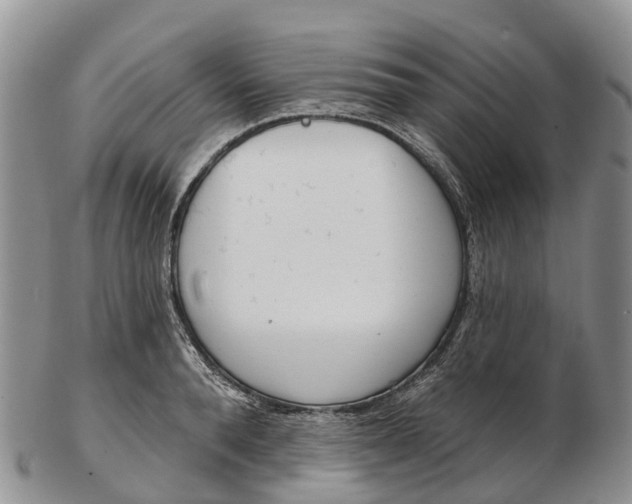 X0000103260896200809121921