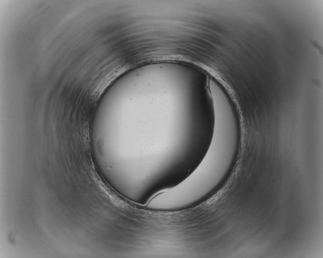 X0000103260897200809121921