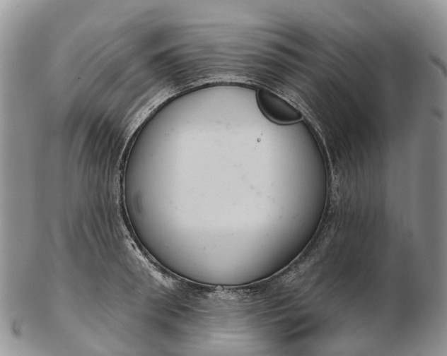 X0000103260898200809121921