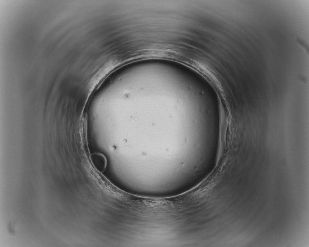 X0000103260899200809121921