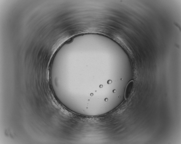 X0000103260900200809121921