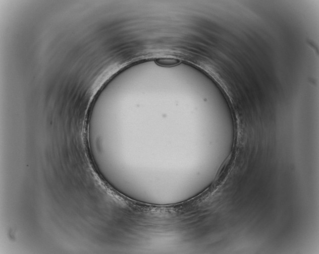 X0000103260901200809121921